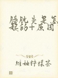 膀胱炎是怎么引起的+原因有哪些