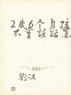 2岁6个月孩子不会说话怎么办