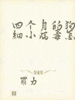 四个月的狗得了细小病毒怎么办