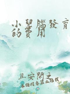 小儿脑发育迟缓的费用