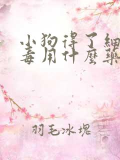 小狗得了细小病毒用什么药治疗