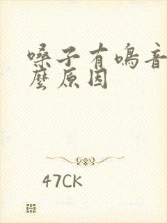 嗓子有鸣音是什么原因