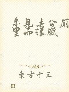 梦见去公厕小便里面很脏