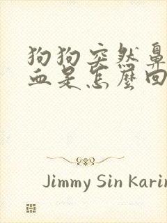 狗狗突然鼻子流血是怎么回事