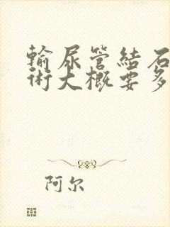 输尿管结石石手术大概要多少钱