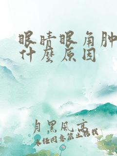 眼睛眼角肿了是什么原因