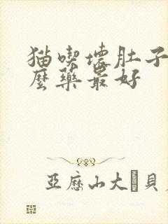 猫吃坏肚子吃什么药最好