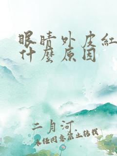 眼睛外皮红痒是什么原因