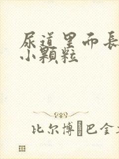 尿道里面长白色小颗粒