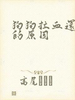 狗狗拉血还呕吐的原因