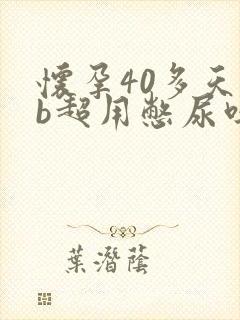 怀孕40多天做b超用憋尿吗