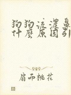 狗狗流浓鼻涕是什么原因引起的