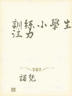 训练小学生的专注力