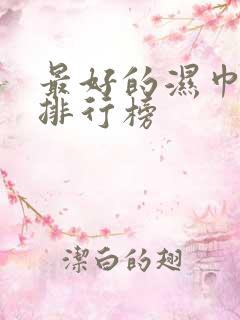 最好的湿巾品牌排行榜