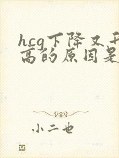 hcg下降又升高的原因是什么