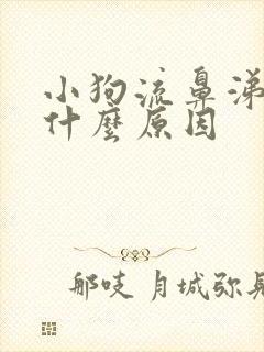 小狗流鼻涕了是什么原因