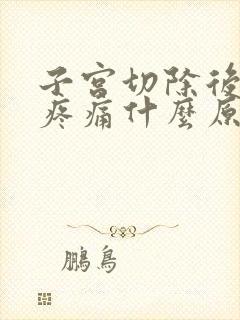 子宫切除后小腹疼痛什么原因