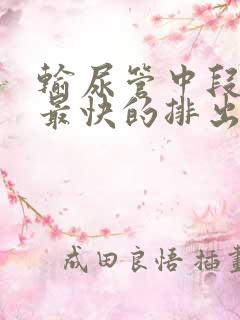 输尿管中段结石最快的排出方法