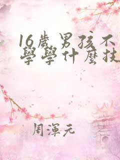 16岁男孩不上学学什么技术好