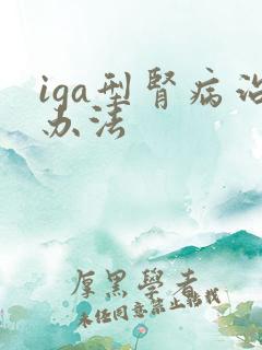 iga型肾病治办法