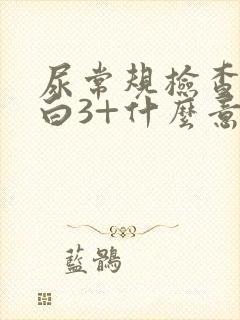 尿常规检查尿蛋白3+什么意思