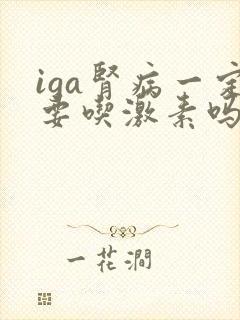 iga肾病一定要吃激素吗