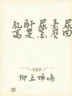 肌酐尿素尿酸偏高是怎么回事