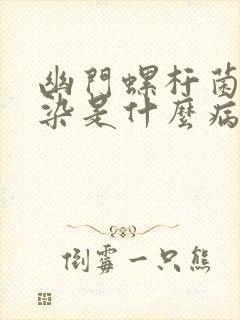 幽门螺杆菌 感染是什么病