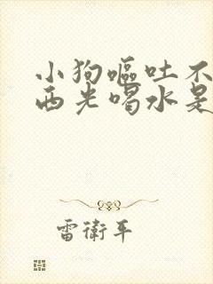 小狗呕吐不吃东西光喝水是怎么回事