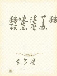 猫咪得了猫瘟应该怎么办