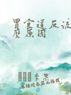 胃食道反流有什么原因