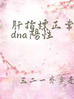 肝指标正常病毒dna阳性