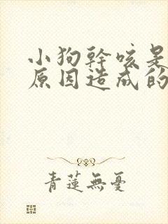 小狗干咳是什么原因造成的