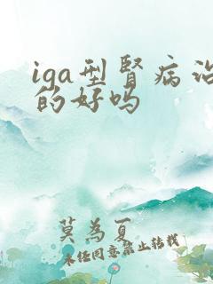 iga型肾病治的好吗