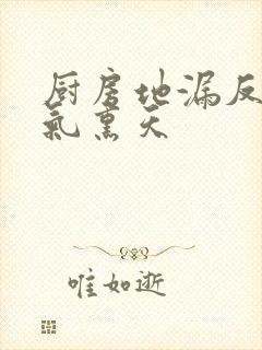 厨房地漏反味臭气熏天