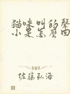 猫咪叫的声音很小是怎么回事