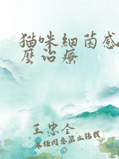 猫咪细菌感染怎么治疗