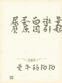 尿蛋白微量是什么原因引起的