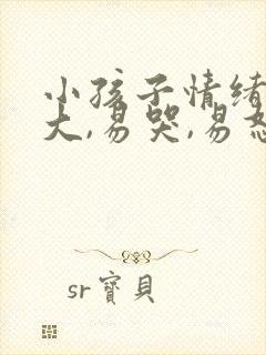 小孩子情绪波动大,易哭,易怒怎么解决