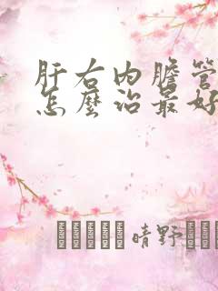 肝右内胆管结石怎么治最好