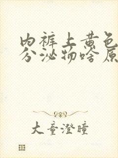 内裤上黄色干的分泌物啥原因