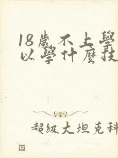 18岁不上学可以学什么技术