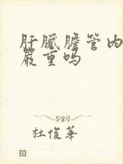 肝脏胆管内结石严重吗