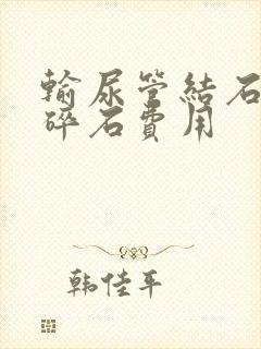 输尿管结石体外碎石费用