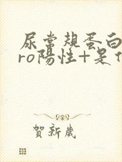 尿常规蛋白质pro阳性+是什么意思