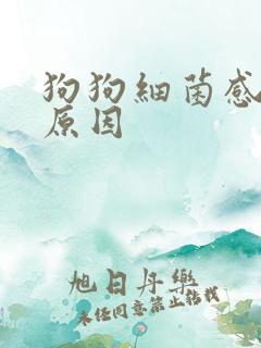 狗狗细菌感染的原因