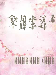 饮用水消毒片哪个牌子好