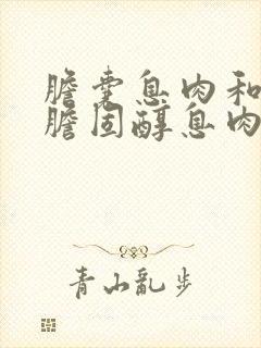 胆囊息肉和胆囊胆固醇息肉