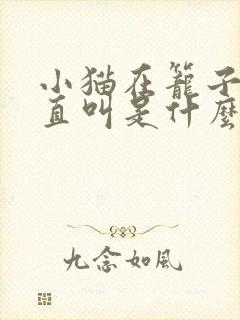 小猫在笼子里一直叫是什么原因