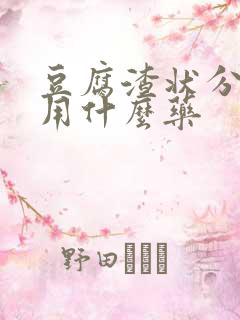 豆腐渣状分泌物用什么药